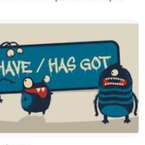 VERB TO HAVE/HAS GOT