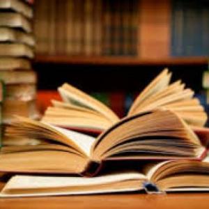 PARTES DE LA ORACIÓN GRAMATICAL