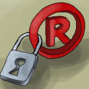 DERECHOS DE LA PROPIEDAD