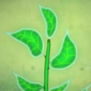 LAS PLANTAS