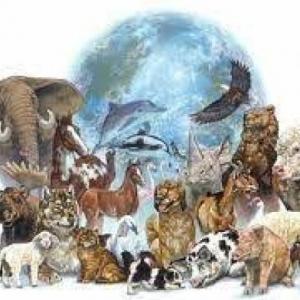 Patrones y tipos de biodiversidad