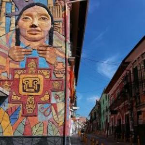 ¿Que color te gustaria la polera?