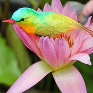 Trivia sobre Aves
