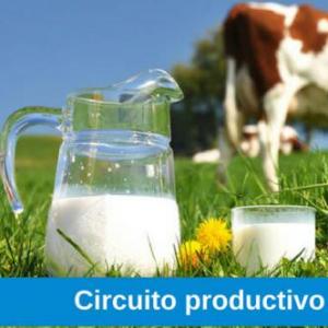 CIRCUITO PRODUCTIVO DE LA LECHE