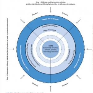 Modelo De Evaluación e Intervención Familiar