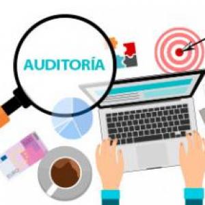Auditoria y Control Interno