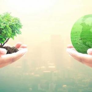 El medio ambiente