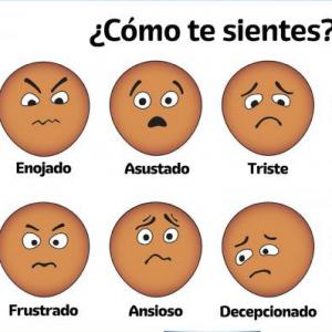 LAS EMOCIONES