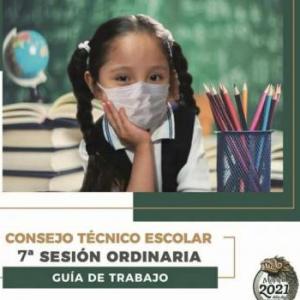 SEPTIMA SESION DE CTZ