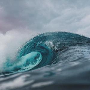 Criaturas oceánicas