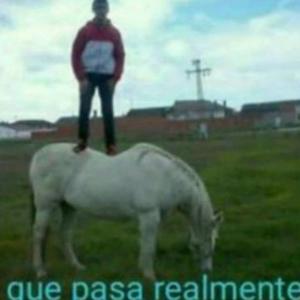 Imagen de portada del videojuego educativo: tu mamá , de la temática Ocio