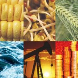 Descubre las materias primas