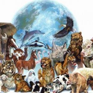 ANIMALES