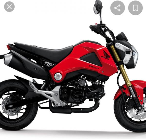 MOTORIZADA