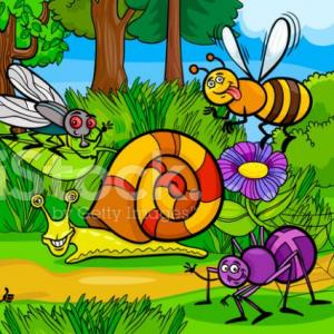 BICHOS