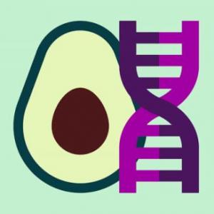 Evolución humana desde la perspectiva nutriente-gen