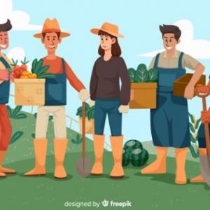 Trabajo en Equipo