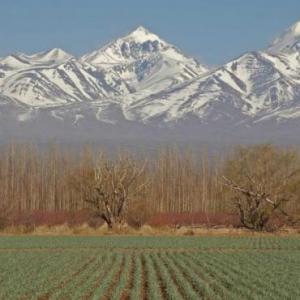 TRIVIA: LA REGIÓN DEL CUYO