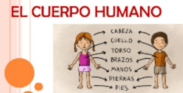 RECONOCE TU CUERPO