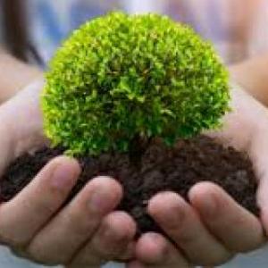 El medioambiente y sus cuidados.
