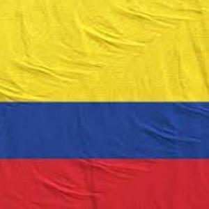 Constitución política de Colombia