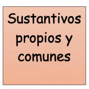 Sustantivos propios y comunes 