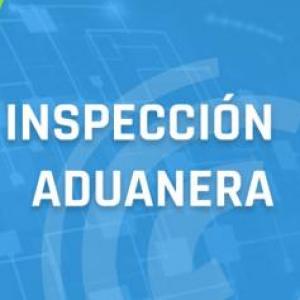 Inspección en puerto, aeropuerto o puesto de frontera