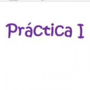 Práctica I