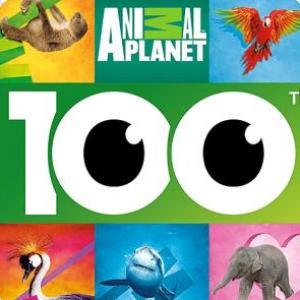 Los animales