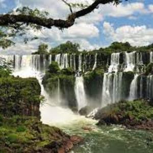 Medio Ambiente Selva
