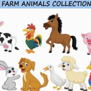Farm animals