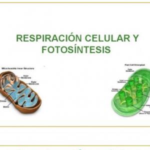 Imagen de portada del videojuego educativo: Fotosíntesis y Respiración celular, de la temática Biología