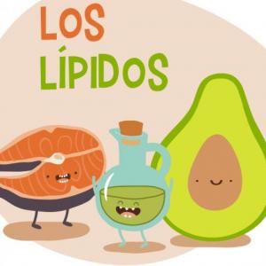 Los Lípidos