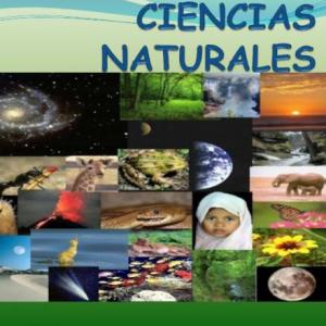 Trivias de cultura general 