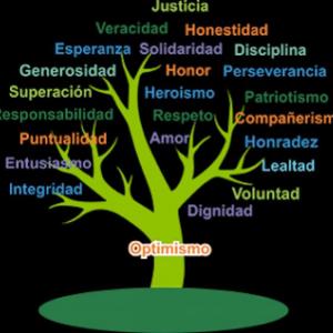 VALORES BASICOS