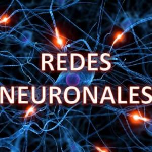 Mira lo que sabes del S.N.