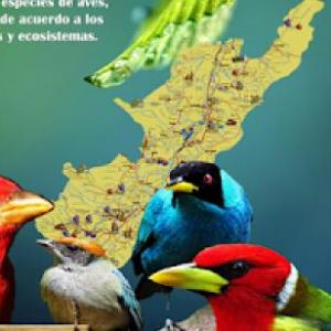 Imagen de portada del videojuego educativo:  ¡Aves del departamento del Huila!, de la temática Viajes y turismo