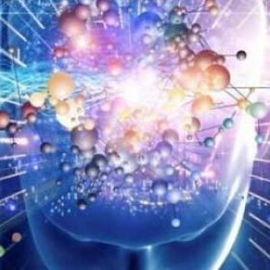 Cerebro y mente