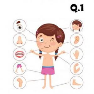 Imagen de portada del videojuego educativo: Les parties du corps (Q1), de la temática Idiomas