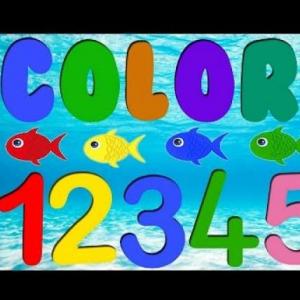 LETRAS COLORES Y ALGO MAS