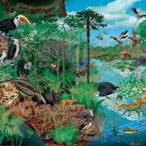 Imagen de portada del videojuego educativo: Relaciones de los seres vivos, de la temática Medio ambiente