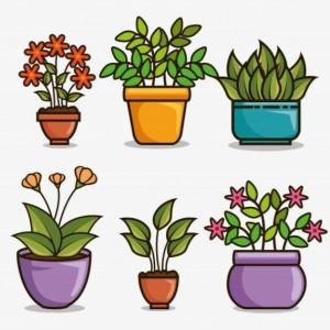 Las plantas