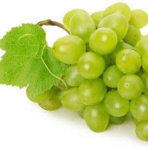 Portada del juego RECUERDA LAS FRUTAS – Lengua