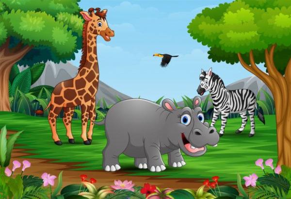 DESCUBRIENDO ANIMALES