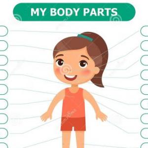 PARTS OF THE BODY