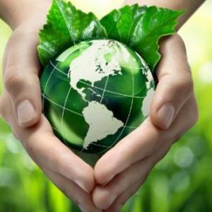 Trivia ambiental