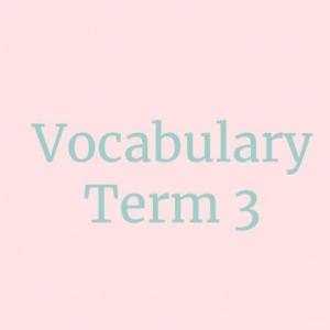 Portada del juego Vocabulary Term 3 – Idiomas