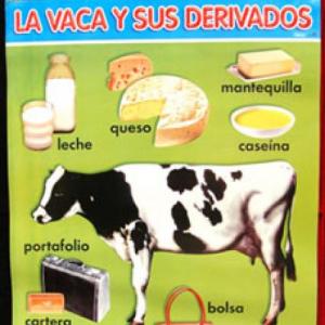 ¿Qué nos da la vaca?