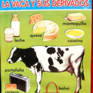 Imagen de portada del videojuego educativo: La vaca lola y sus derivados, de la temática Ciencias