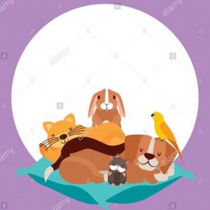 ¿QUE COMEN Y DONDE VIVEN LOS ANIMALITOS?